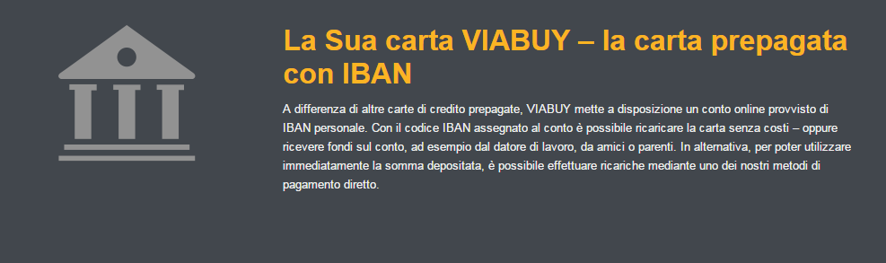 viabuy termini e condizioni